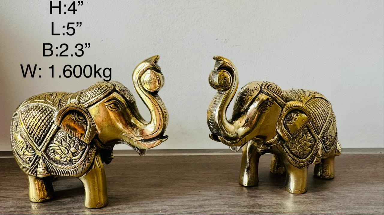 WhatsApp Image 2025-10-16 at 12.53.20_e883716e